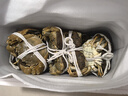 【活蟹】漁家师傅优选大闸蟹公5-5.3两母4-4.3两5对10只 螃蟹鲜活生鲜现货水产海鲜礼盒 实拍图