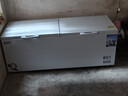 雪贝娜冰柜商用大容量全冷冻家用双温卧式冷柜展示柜 1388单温智能温控【一级能效】 实拍图