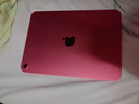 Apple/苹果 iPad11英寸 A16芯片2025年款 平板电脑 (256GB WLAN版/学习办公娱乐)粉色 实拍图