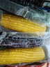 北纬47°黑甜糯玉米棒2.4斤(200g*6根)东北鲜黏糯玉米棒真空包装 早餐苞米 实拍图