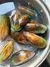 海鲜世家 新西兰熟冻原汁全壳青口贝净含量1kg 21-26只/袋 原装进口 海鲜 实拍图