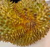 京鲜生 进口金枕头榴莲 净重6-7斤 1个装  鲜果 生鲜 新鲜水果 实拍图