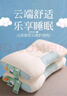 红豆A类抗菌枕头枕芯护颈枕睡眠颈椎病深度睡觉专用高枕48*74cm一对装 实拍图