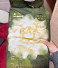 babycare金山茶花拉拉裤XXXL24+3片(＞17kg)婴儿尿不湿超薄透气轻柔花苞裤 实拍图