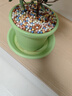 史丹利彩色陶粒垫底养花专用水培花盆种花颗粒铺面园艺土陶土粒球3斤 实拍图