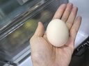 京鲜生【每日鲜蛋】无抗谷物鸡蛋30枚 3.18斤 当日产蛋 当日发货 实拍图