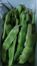 京鲜生山东新鲜油豆角1.8斤装新鲜蔬菜源头直发包邮 实拍图