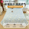 洁丽雅夹棉床盖床单单件加厚韩版花边款双人床罩 花月容 230*250cm 实拍图