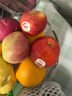 康田汇 陕西苹果水果秦红时令丑苹果新生鲜孕妇水果富士送礼整箱 2.5斤品质果【严选装】净重2斤 新鲜采摘 实拍图