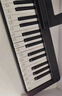 特伦斯电子琴88键成人儿童智能折叠钢琴X61A/V20手卷钢琴键盘乐器 V20典雅黑+专用琴包+Z型琴架 实拍图