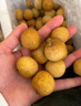 京鲜生泰国进口精选龙眼  净重3斤 果径23-25mm 水果礼盒源头直发 实拍图