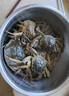 【活蟹】漁家师傅大闸蟹全母4.5-4.8两8只 去绳足重鲜活螃蟹现货生鲜实物水产海鲜礼盒 实拍图
