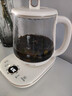 小熊（Bear）养生壶 1.5L煮茶壶煮茶器 玻璃花茶壶 316不锈钢恒温水壶烧水壶电热水壶 YSH-E15M1 实拍图