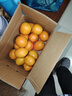 玖原农珍 赣南脐橙当季采摘优选橙子年货礼盒水果 净重9斤普通箱优选果150-200g 实拍图