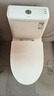 九牧（JOMOO）11173-2-1/31KD-3大力神家用马桶虹吸抗菌节水洁具305坑距 实拍图