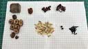 同仁堂红糖姜枣茶阿胶黑糖姜枣茶红糖姜茶大姨妈桂圆送女友礼物150g 实拍图