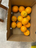 京鲜生 江西赣南脐橙 净重8斤装 单果200g+ 生鲜水果 源头直发包邮 实拍图