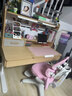 护童（Totguard）儿童学习桌椅套装可升降书桌实木 学立方榉木纹120cm+G985Ultra粉 实拍图