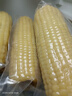 京鲜生东北白糯玉米330g*8根 甜黏玉米低脂早餐代餐粗粮真空装 源头直发 实拍图