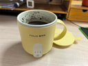 富得莱养生壶 热牛奶杯 迷你小型全自动恒温一人用 办公室炖煮烧水煮茶一体机 加热暖暖杯神器 黄色0.5L 实拍图