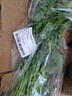 带根香菜100g 实拍图