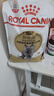皇家猫粮 英短成猫粮 BS34 通用粮 12月以上 2KG 实拍图