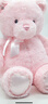 GUND经典泰迪熊毛绒玩具陪伴公仔生日礼物送女友闺蜜 38cm粉色  实拍图
