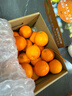 京鲜生 爱媛果冻橙 净重5斤 单果130g起 生鲜水果桔子礼盒 实拍图