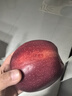 京鲜生 天水花牛苹果 净重4.5斤 单果170g+ 生鲜水果源头直发 实拍图