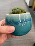 奥美优多肉花盆陶瓷家用绿植植物盆栽透气防烂根大口径花盆小号 实拍图