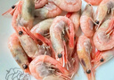 鲜京采 海藻头熟冻北极甜虾 净重5斤 90/120规格 225-300只/盒  实拍图