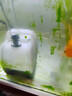 YEE鱼缸潜水泵低音循环抽水泵底吸泵换水小型过滤器假山流水泵15w 实拍图
