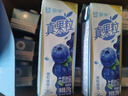 蒙牛真果粒蓝莓味牛奶饮品250g*12盒  小黄鸭IP 送礼盒装新老包装 实拍图