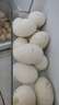 百世富泽（BAISHIFUZE）【百世富泽】黄河滩大鹅蛋新鲜正宗土鹅蛋农家自养孕妇超大鹅蛋 12枚130-150克 实拍图
