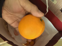 玖原农珍 赣南脐橙现摘新鲜榨汁水果橙子 年货水果礼盒 9斤净果彩箱优选果80-90mm 实拍图