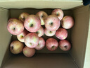 京鲜生山东烟台红富士苹果 净重9斤 单果75-80mm生鲜水果 源头直发 包邮 实拍图