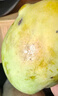 京鲜生 攀枝花凯特芒果 净重4.5斤 单果700g 生鲜水果 源头直发 实拍图