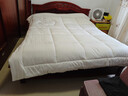 京东京造100%天然新疆棉花被 纯棉被芯双人被子 秋冬被7斤2.2x2.4m 实拍图
