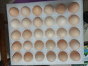京鲜生 无抗保洁鲜鸡蛋30枚/盒 健康轻食 礼盒送礼 1.5kg/盒 源头直发 实拍图