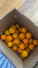 果果牛湖南麻阳冰糖橙 应当季新鲜水果手剥甜橙子高山夏脐血多汁 可选 净重9斤(单果60-65mm)推荐 实拍图