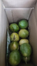 黄金百香果钦蜜9号新鲜当季现摘精选好果水果百香果鲜果酸甜可口 钦蜜9号黄金百香果 ＜40g小果 1斤 实拍图