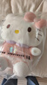 Hello Kitty三丽鸥毛绒玩具玩偶布娃娃抱枕生日圣诞节礼物女 30cm凯蒂猫公仔 实拍图