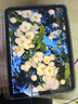 Apple/苹果 iPad11英寸 A16芯片2025年款 平板电脑 (256GB WLAN版/学习办公娱乐)银色 实拍图