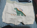 棉奇熊男童内裤儿童棉质平角裤男孩四角短裤男宝宝不夹PP中大童底裤4条 恐龙乐园-10A抗菌 A类纯棉- 4条 130 -身高125-140cm体重45-55斤 实拍图