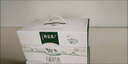 蒙牛特仑苏有机纯牛奶250mL*12盒 品质奶源 送礼盒装 电商定制 实拍图