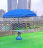 八海鸟遮阳伞户外太阳伞摆摊专用大雨伞加固加厚结实抗风庭院广告帐篷伞 实拍图