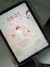 Apple/苹果 iPad11英寸 A16芯片2025年款 平板电脑 (256GB WLAN版/学习办公娱乐)粉色 实拍图