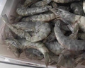 鲜京采 原装进口50/60厄瓜多尔白虾 去冰净重3.3斤 82-99只/盒 源头直发 实拍图