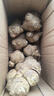 【天然胰岛果】新鲜洋姜可腌制鬼子姜姜不辣农家蔬菜菊芋泡菜 洋姜中大果带箱1斤装 净重 460g 实拍图