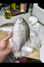 恒兴食品 原条金鲳鱼700g/共2条装 BAP认证海鲜生鲜深海鱼火锅食材 实拍图
